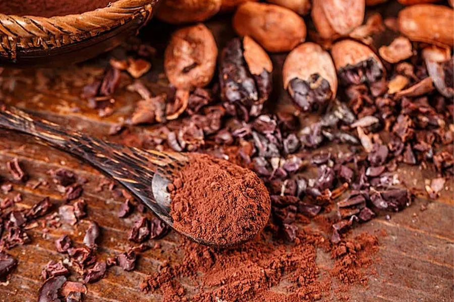 Какой новый прогресс имеет домашнюю технологию обработки какао -порошка, сделанную в последние годы?