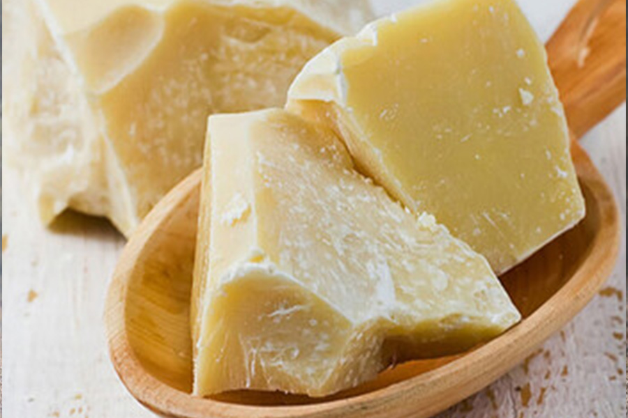 Высококачественные технологии производства какао-масляного масла и обмен дегустация