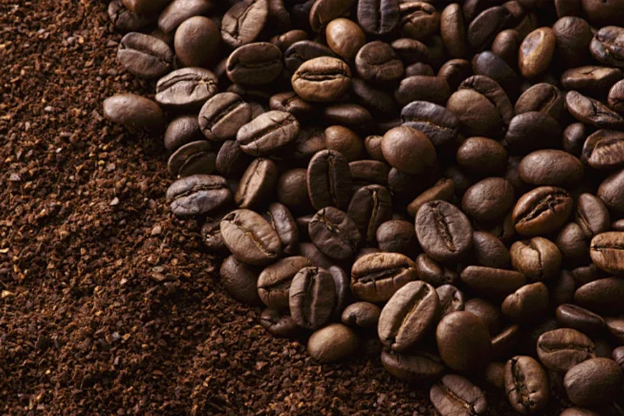 Выставка выбора какао -порошка для специальной выпечки и напитков